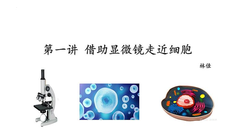 2023届高三复习生物:第一讲 借助显微镜走近细胞课件第2页