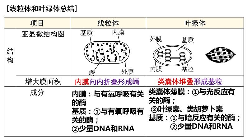 2023届高三复习生物:细胞器和生物膜系统课件第8页