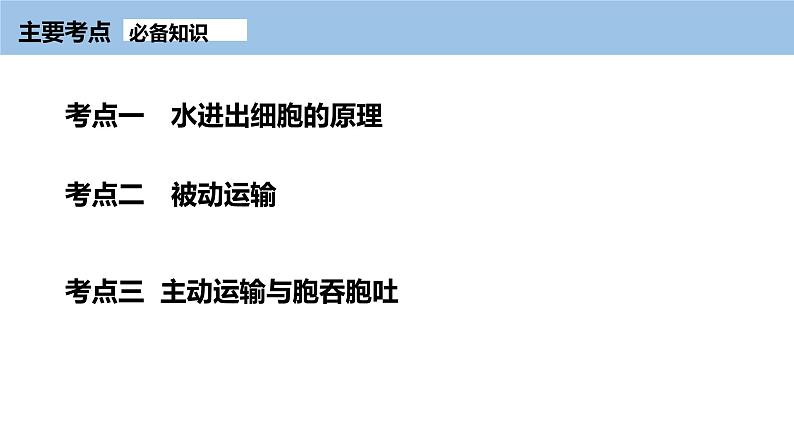 2024届高三生物复习课件第6讲 细胞的物质输入和输出第6页