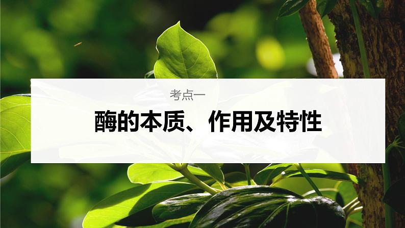 2024届高三生物复习课件第7讲 酶和ATP第7页