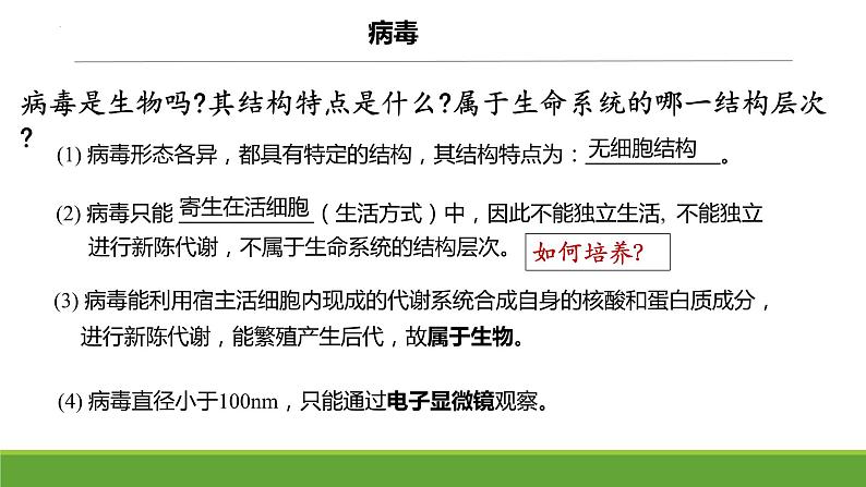 2024届高三复习生物:病毒课件第2页