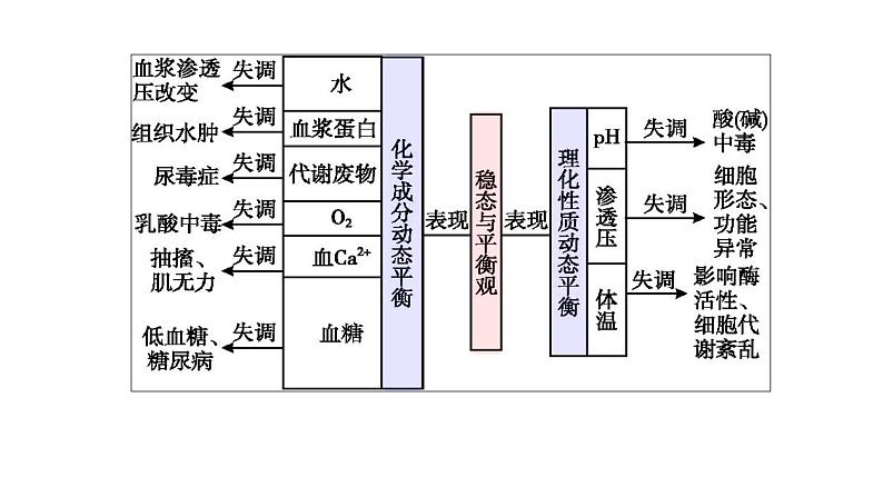 2023届高考生物专题复习课件:个体生命活动的调节第8页
