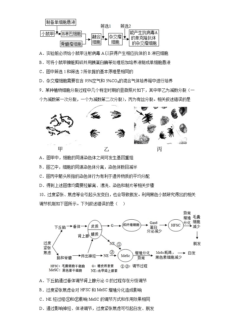 2023屆天津市南開(kāi)中學(xué)高三第六次模擬考試生物試題（含解析）第3頁(yè)