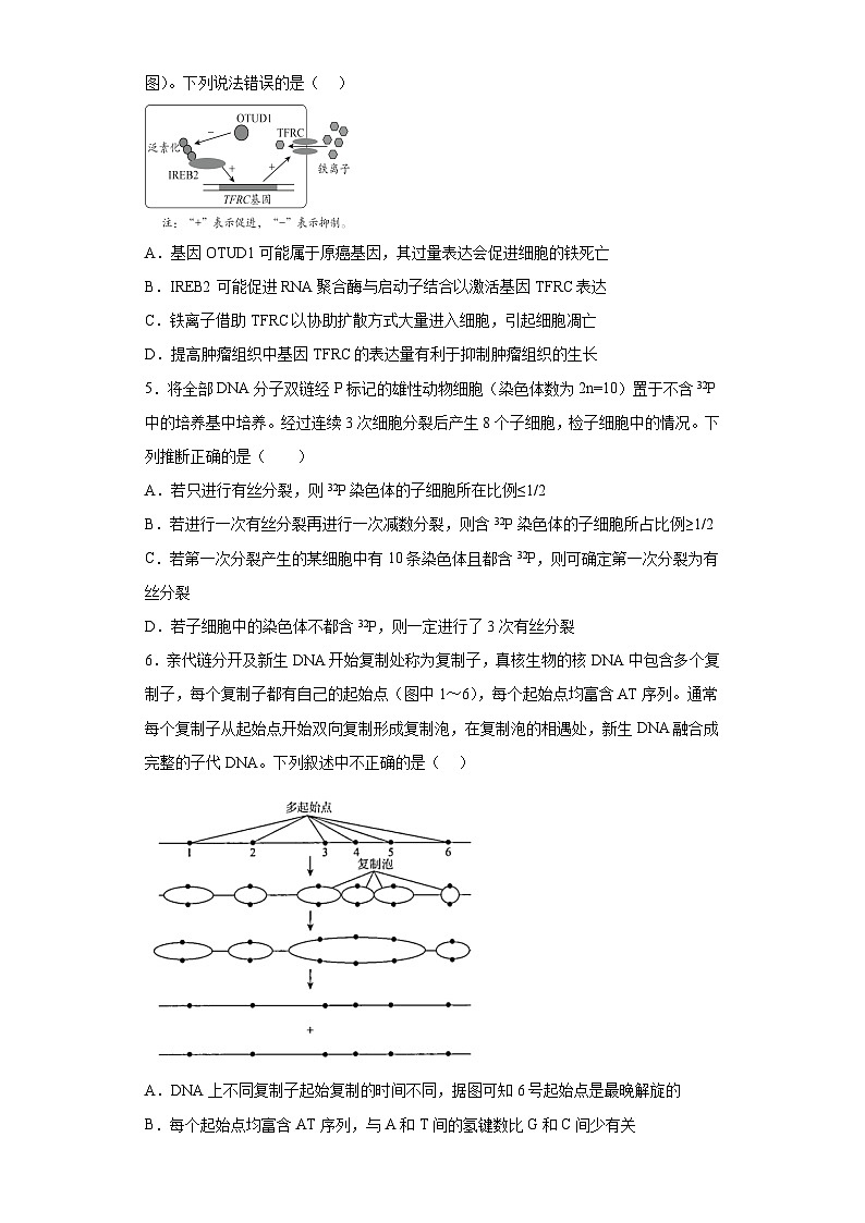 2023届江苏省徐州市二中高三考前冲刺模拟生物试题(含解析)第2页