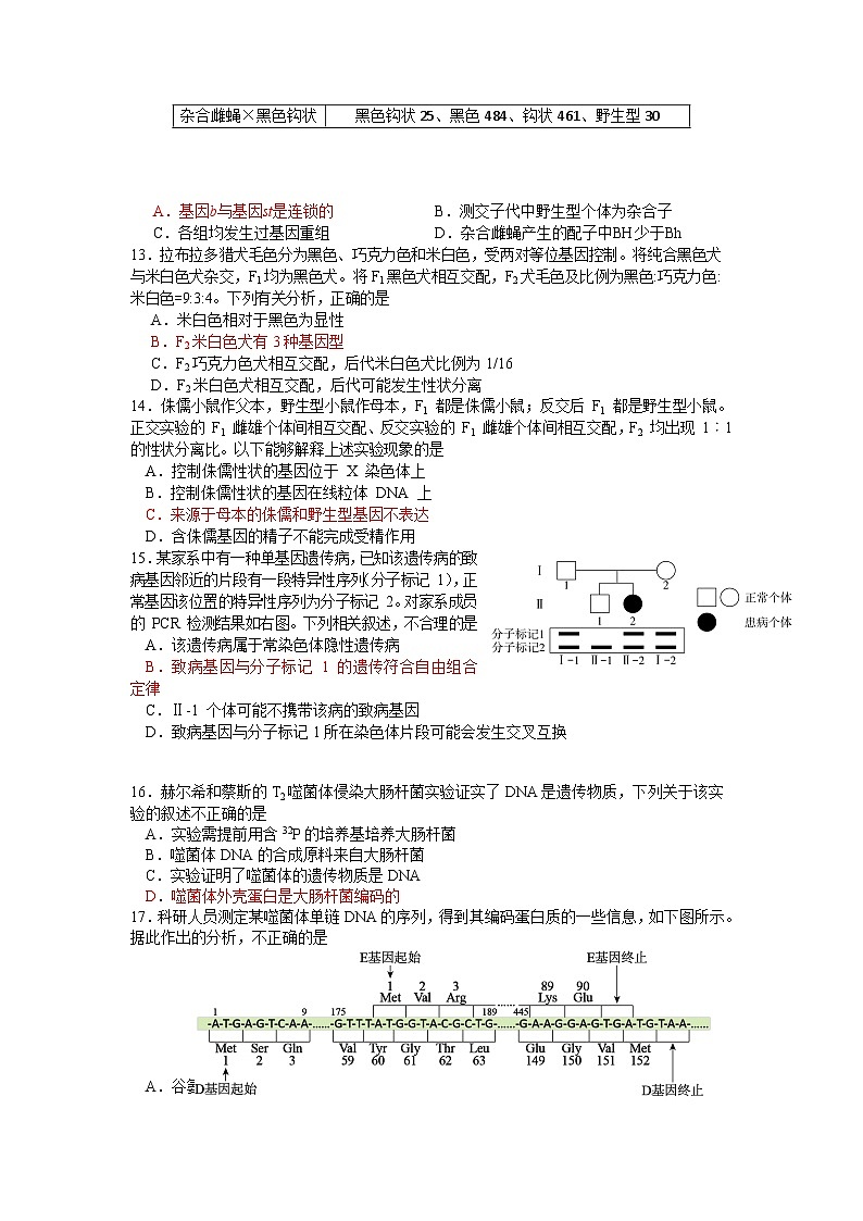 北京市海淀区2022-2023学年高三生物下学期查缺补漏试题(Word版附答案)第3页
