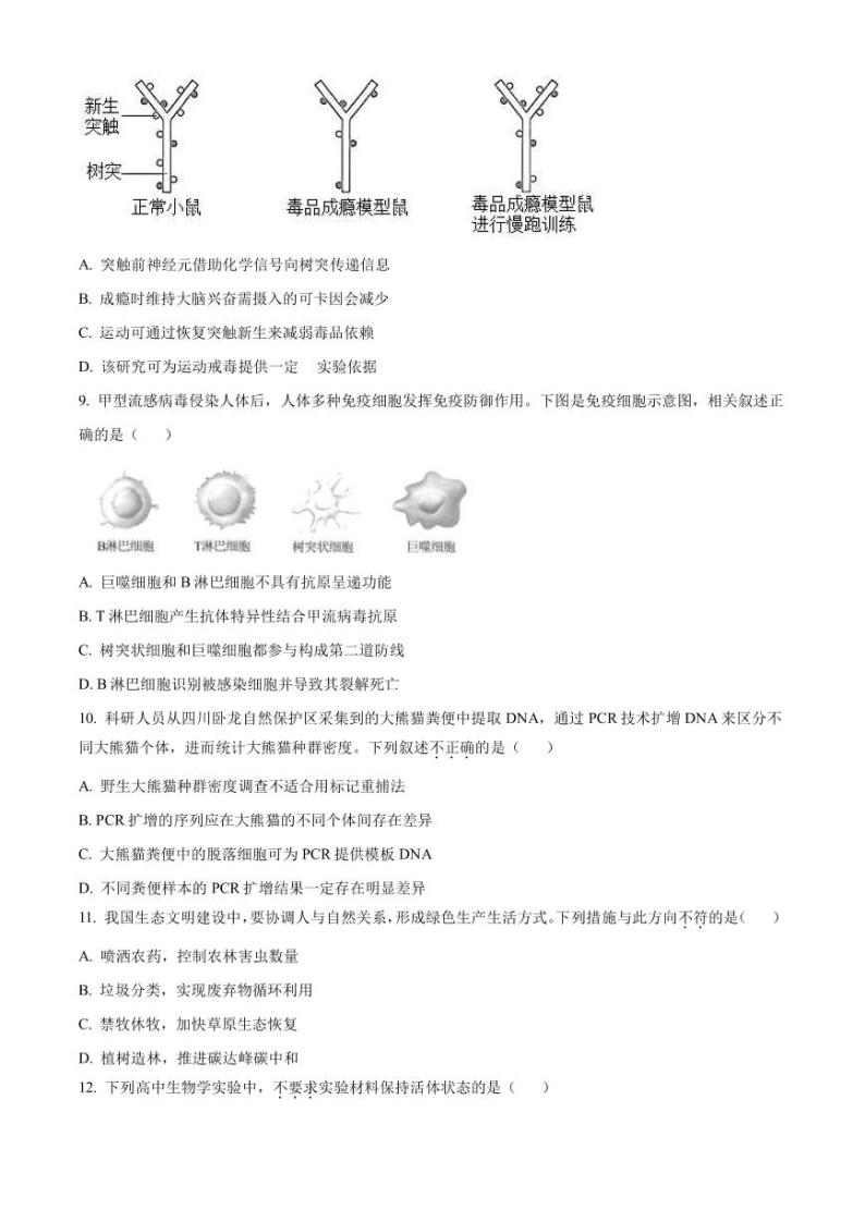 2022-2023学年北京市海淀区高三下学期期中考试（一模）生物（PDF版）03