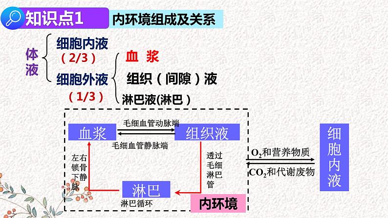 2022届高三生物二轮复习课件 专题十 内环境稳态及免疫调节第2页
