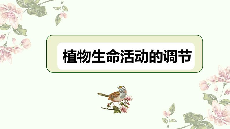 2022届高三生物二轮复习课件专题十 一 植物生命活动的调节第1页