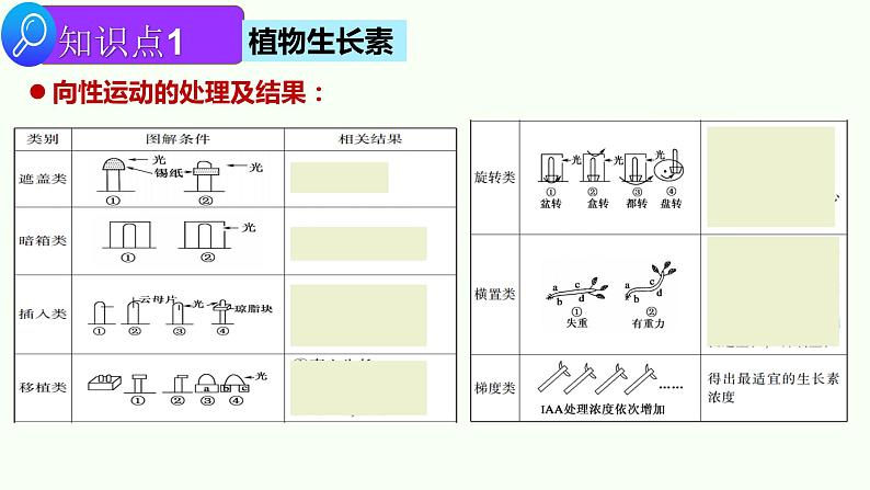 2022届高三生物二轮复习课件专题十 一 植物生命活动的调节第8页