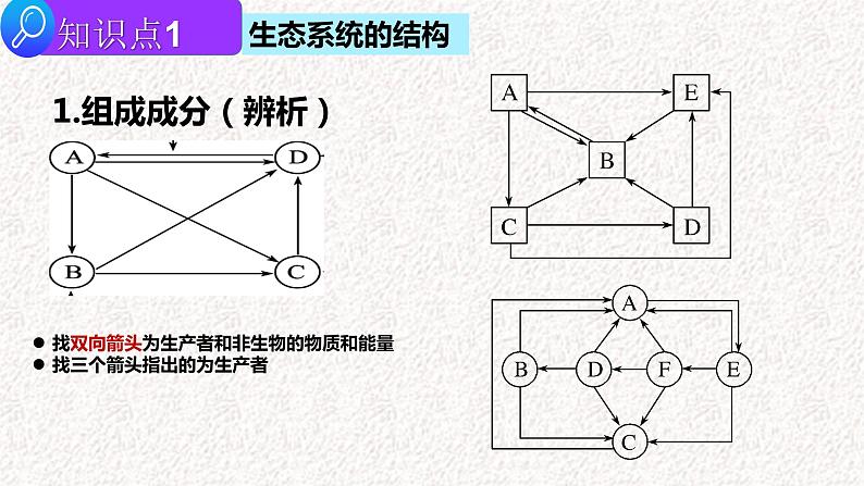 2022届高三生物二轮复习课件专题十三 生态系统及人与环境第4页