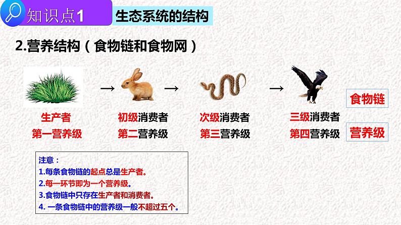 2022届高三生物二轮复习课件专题十三 生态系统及人与环境第5页