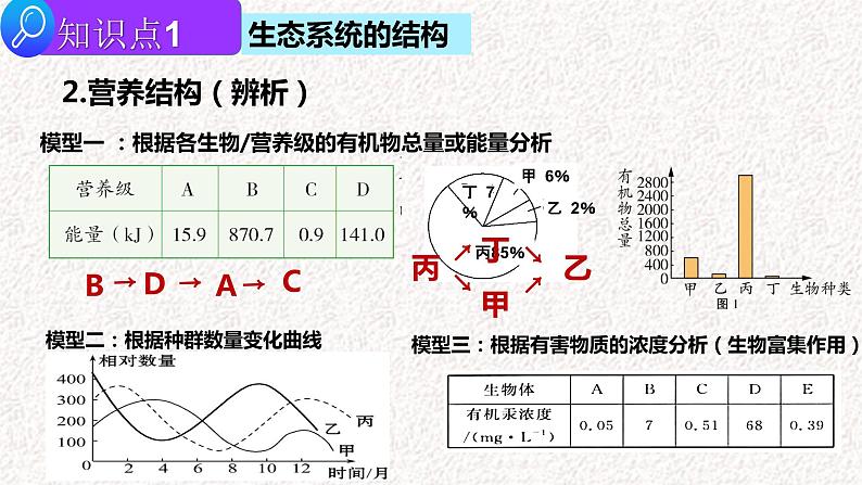 2022届高三生物二轮复习课件专题十三 生态系统及人与环境第7页