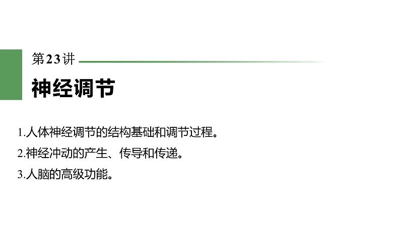 2023届高三生物复习课件第23讲 神经调节(考点一二)02