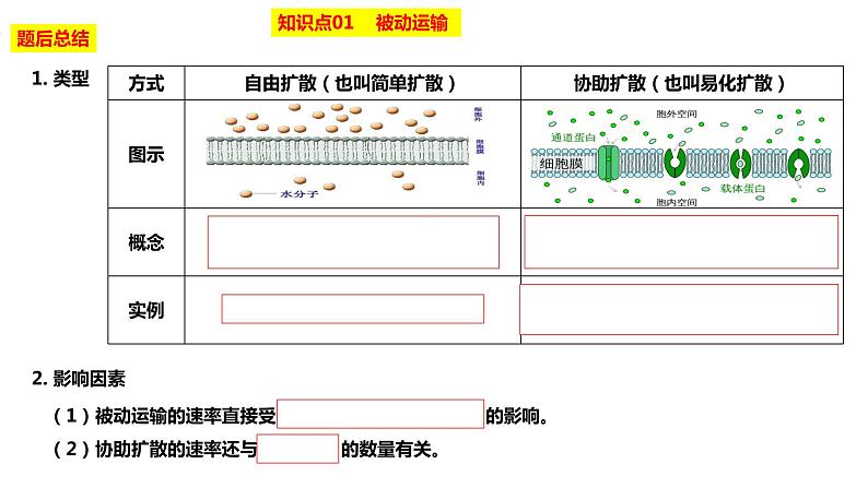 2023届高三生物复习课件物质出入细胞的方式及影响因素05