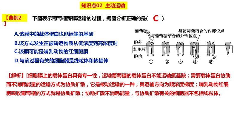 2023届高三生物复习课件物质出入细胞的方式及影响因素07