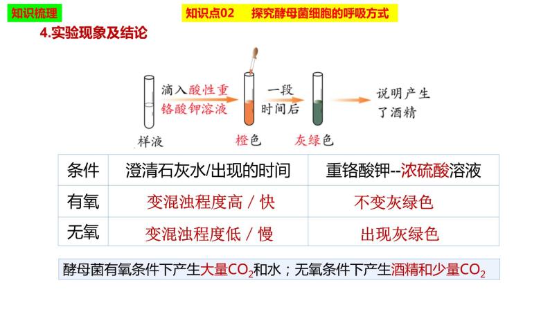 2023届高三生物复习课件细胞呼吸的原理和应用07