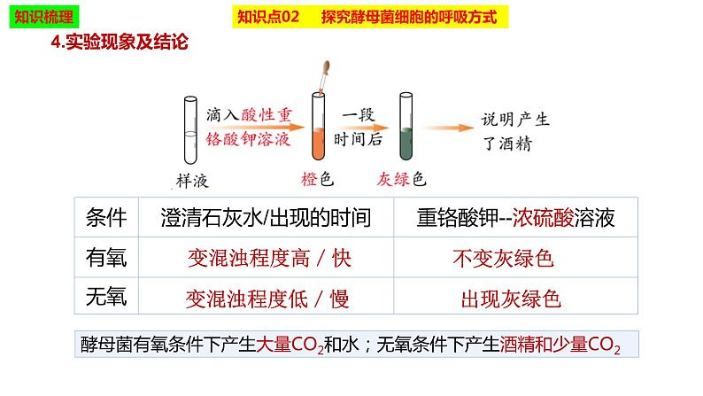 2023届高三生物复习课件细胞呼吸的原理和应用第7页