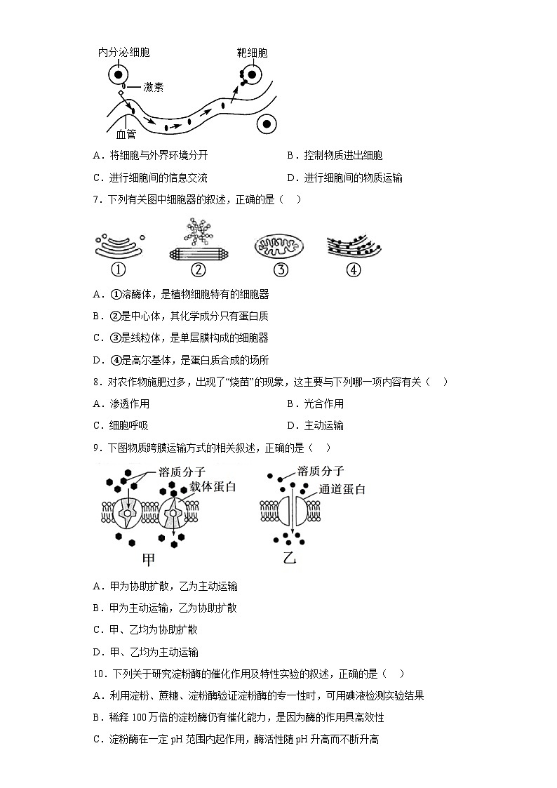 2022年12月山东省普通高中学业水平合格性考试生物模拟卷(一)(考试版)第2页
