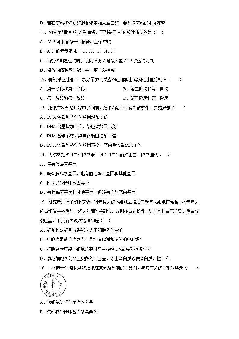 2022年12月山东省普通高中学业水平合格性考试生物模拟卷(一)(考试版)第3页