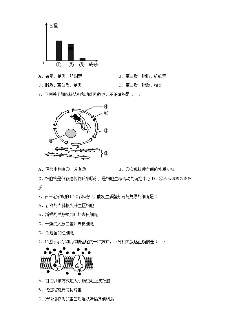 2022年12月山东省普通高中学业水平合格性考试生物模拟卷(二)(考试版)第2页