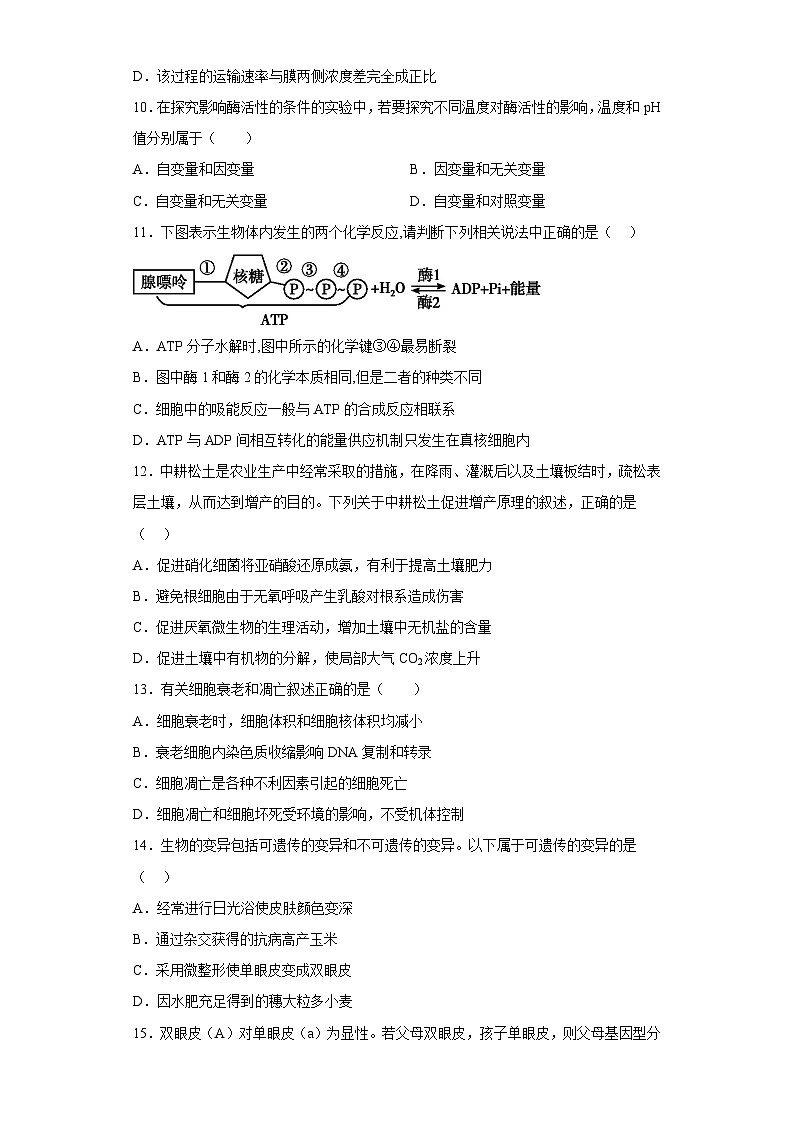 2022年12月山东省普通高中学业水平合格性考试生物模拟卷(二)(考试版)第3页