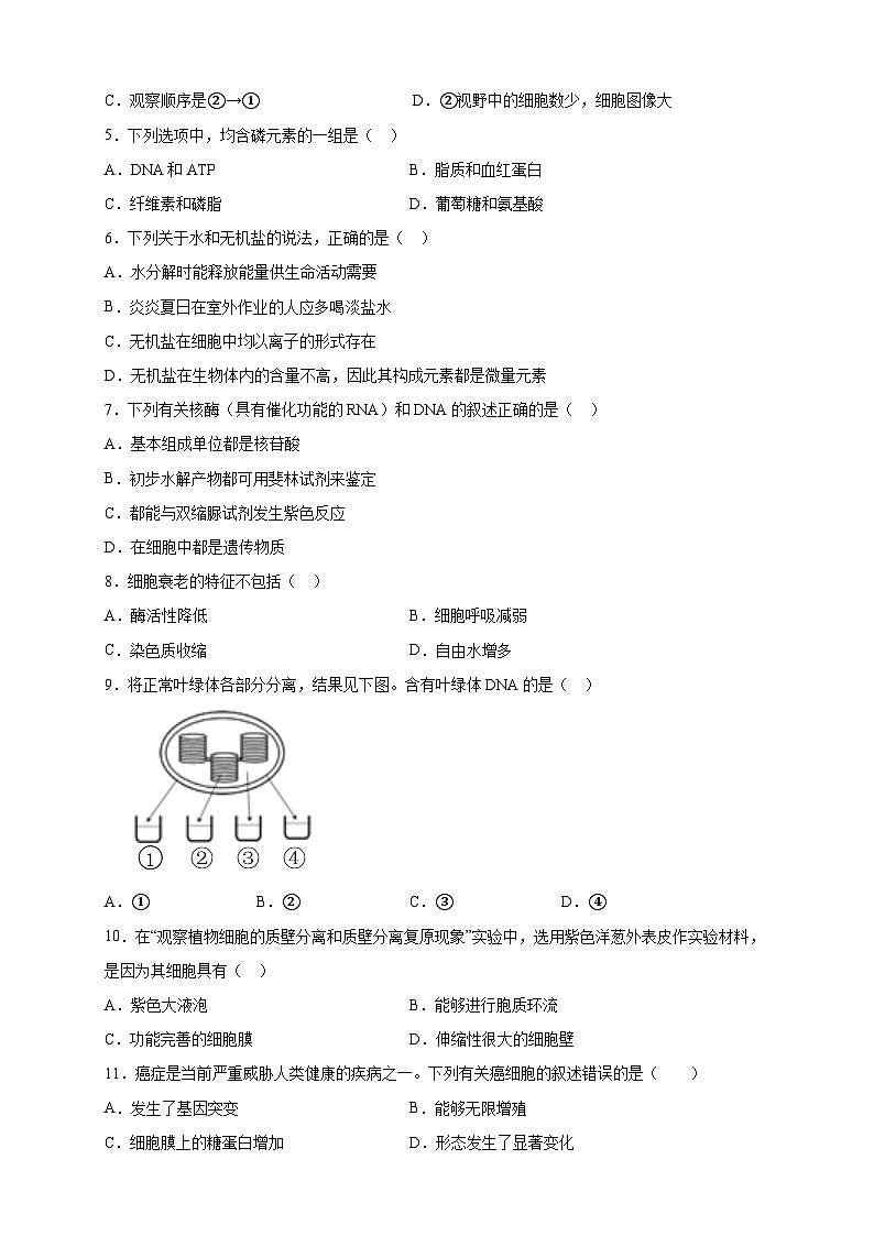 2023年7月广东省普通高中学业水平合格性考试生物模拟卷01(考试版)第2页