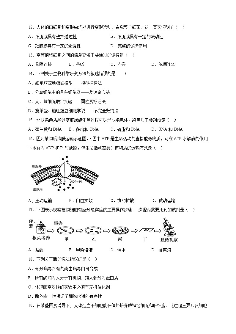 2023年7月广东省普通高中学业水平合格性考试生物模拟卷01(考试版)第3页