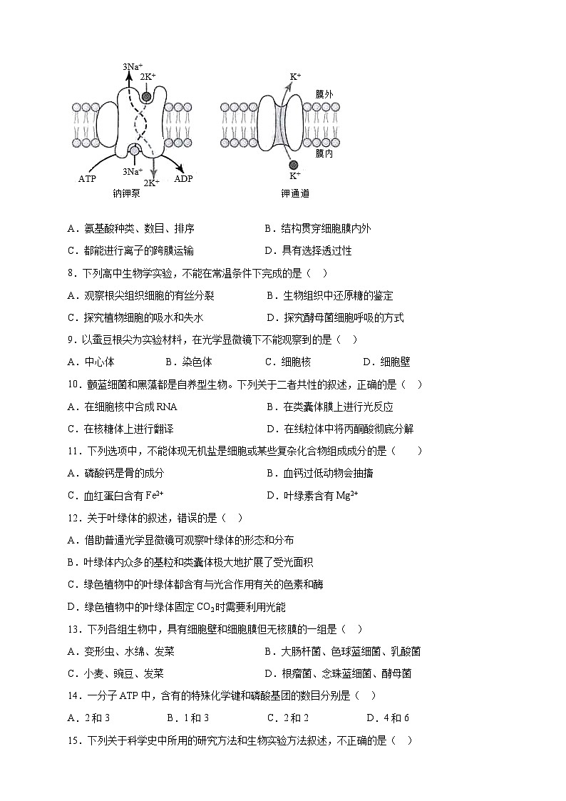 2023年7月广东省普通高中学业水平合格性考试生物模拟卷0202