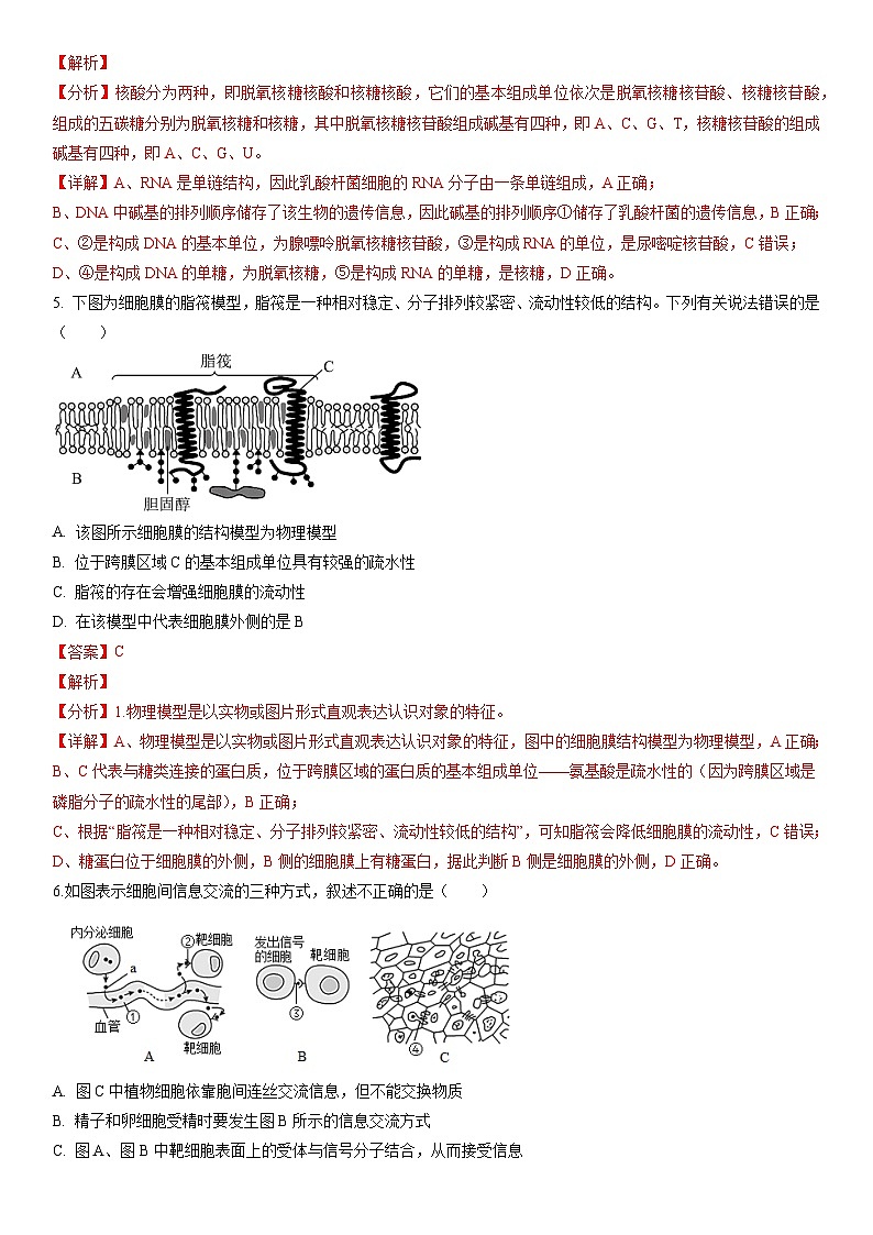 2023年山东省夏季普通高中学业水平合格考试生物模拟卷03(解析版)第3页