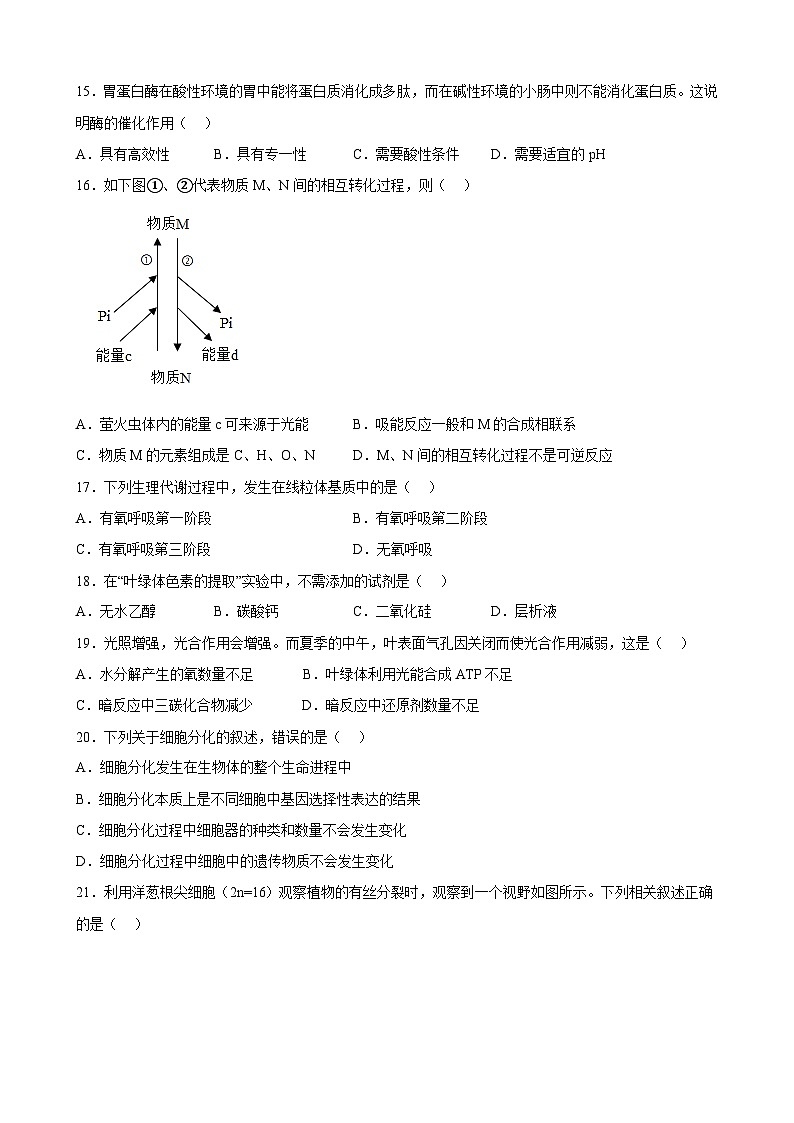 2023年江苏省普通高中学业水平合格性考试生物模拟卷(二)(含考试版+全解全析+参考答案)03
