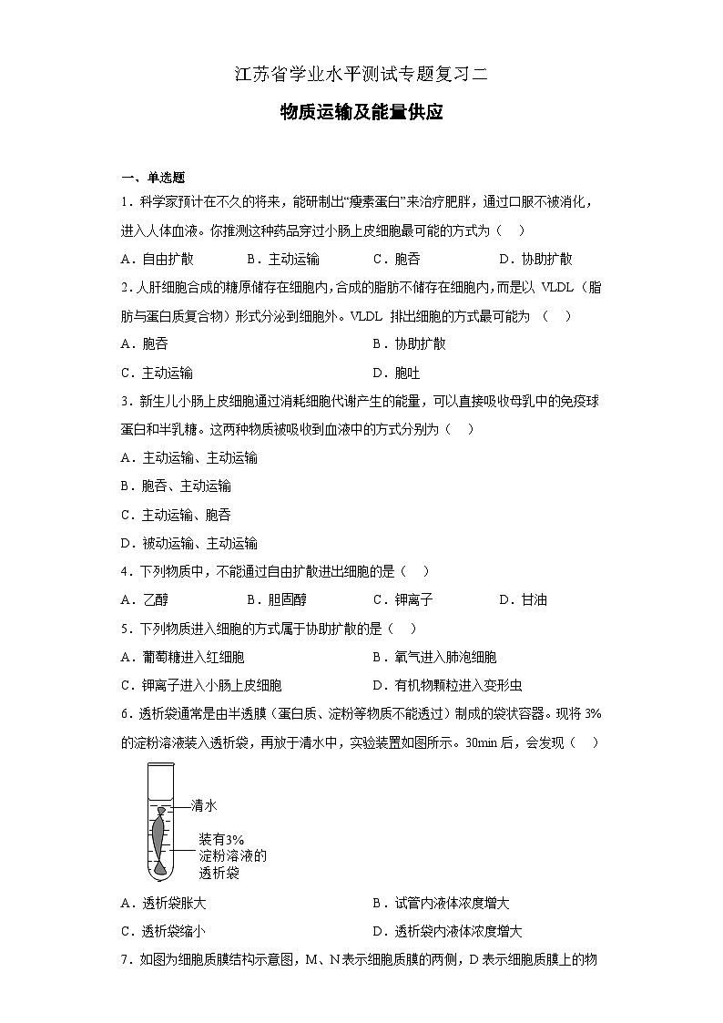 專(zhuān)題二 物質(zhì)運(yùn)輸及能量供應(yīng)（原卷版）第1頁(yè)
