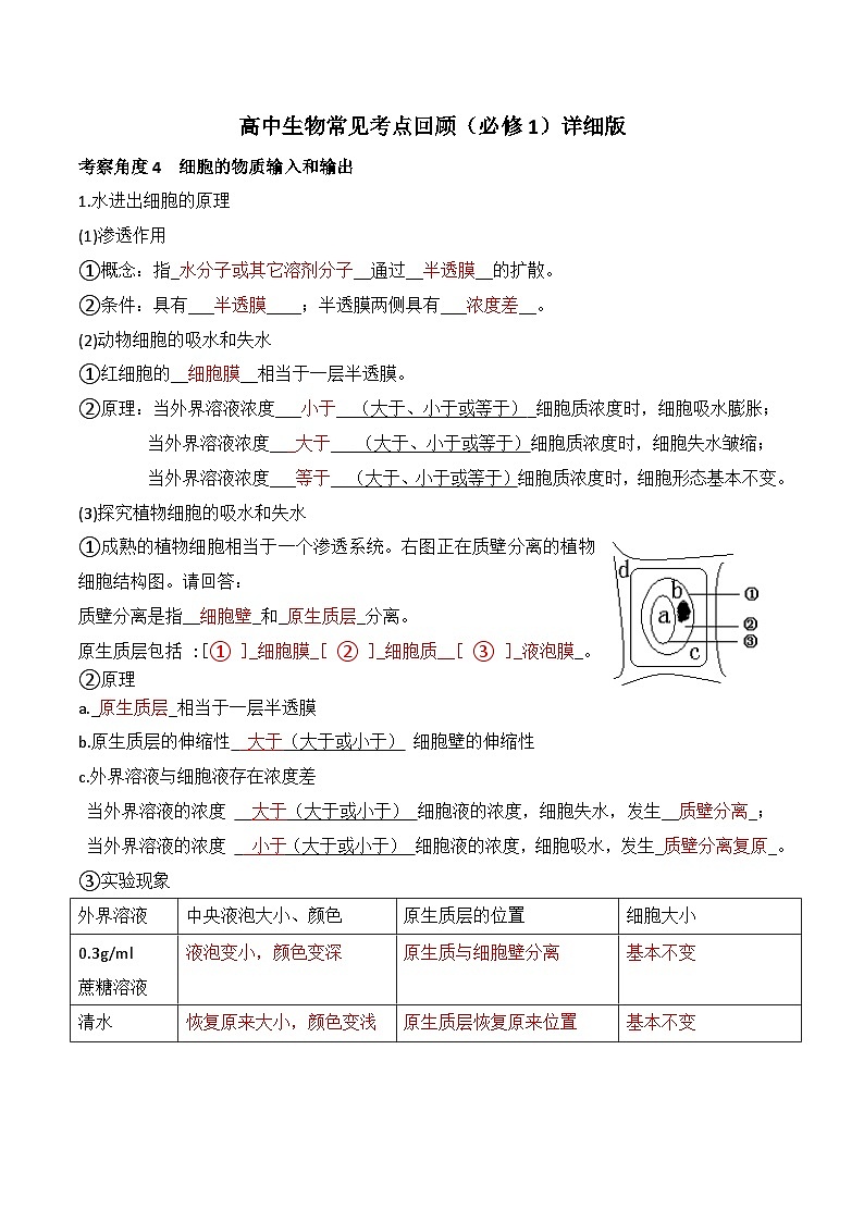 第4章  细胞的物质输入和输出——2023年高中生物学业水平考试背诵清单01