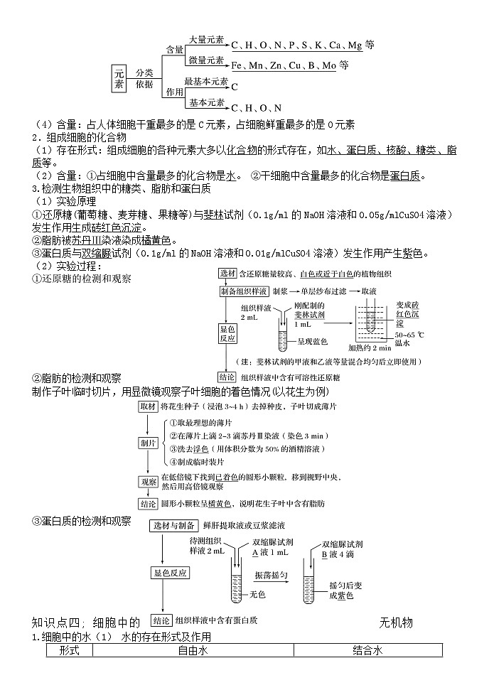 必修一超全知识点总结——2023年高中生物学业水平考试专项精讲+测试第2页