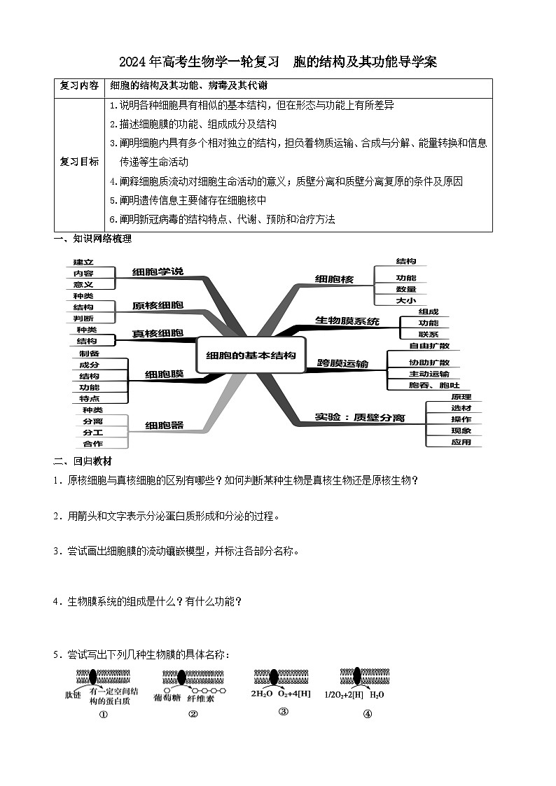 2024届高考生物一轮复习 细胞的结构及其功能导学案第1页