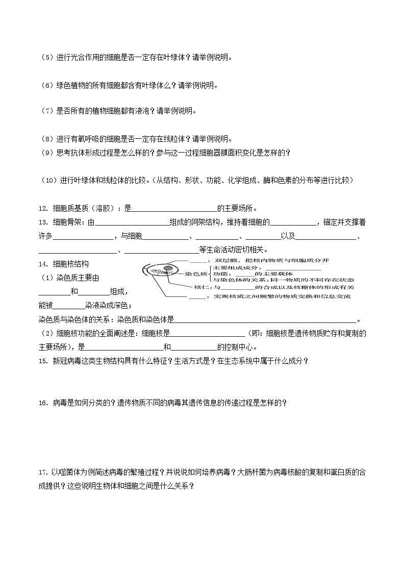 2024届高考生物一轮复习 细胞的结构及其功能导学案第3页