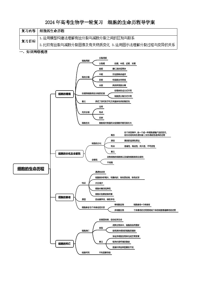 2024届高考生物一轮复习 细胞的生命历程导学案01