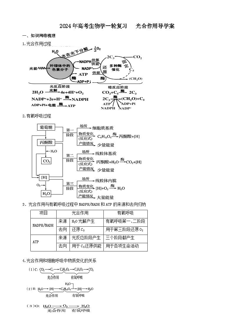 2024届高三生物一轮复习 光合作用导学案第1页