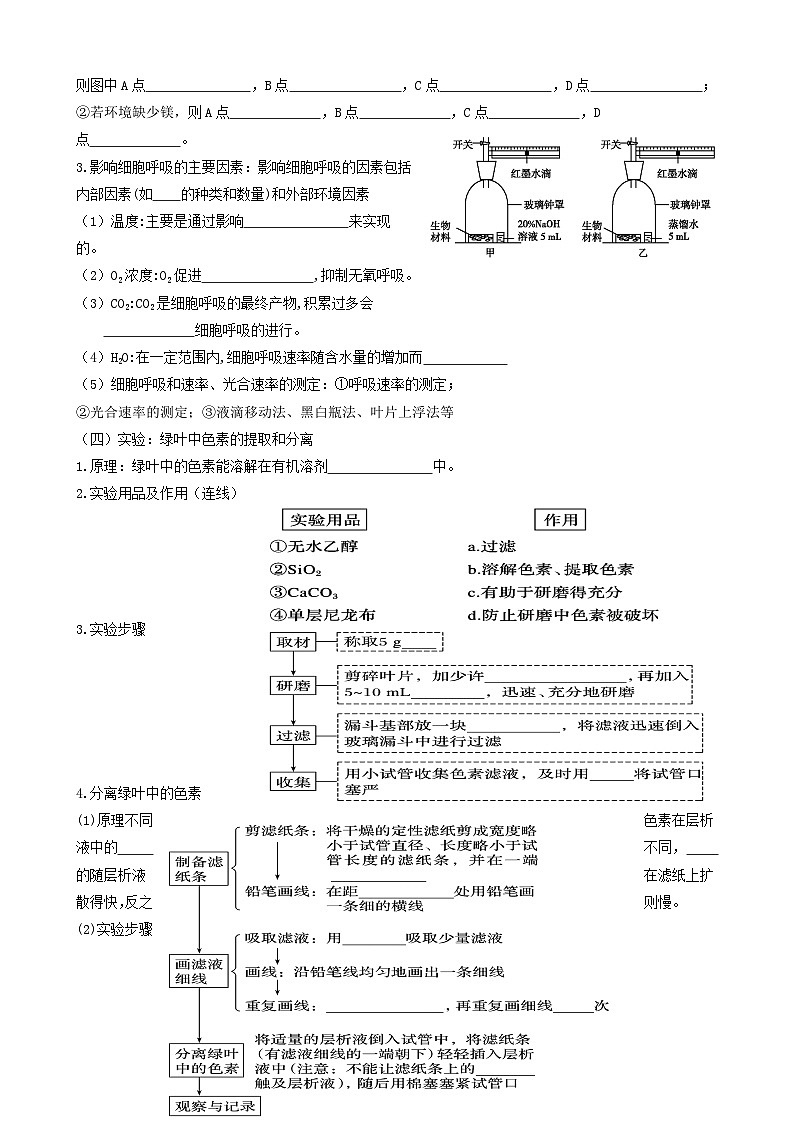 2024届高三生物一轮复习 光合作用导学案第3页