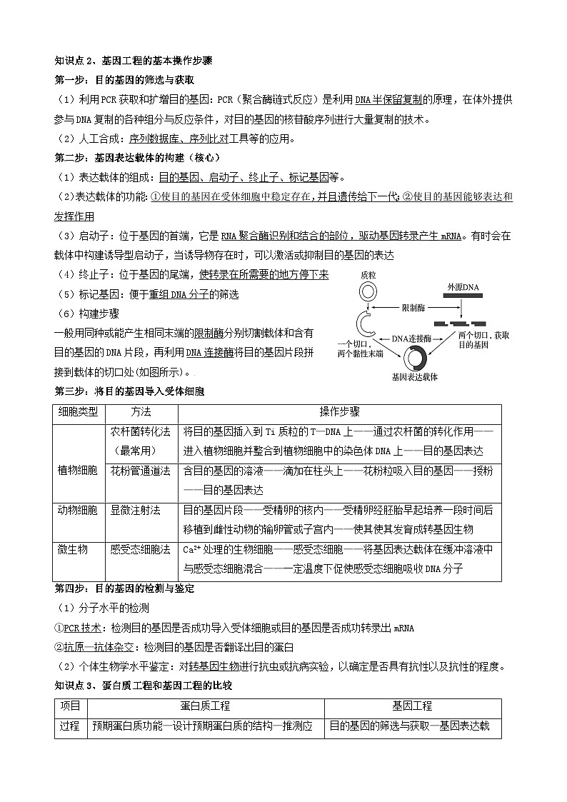 2024届高三生物一轮复习 基因工程导学案第2页