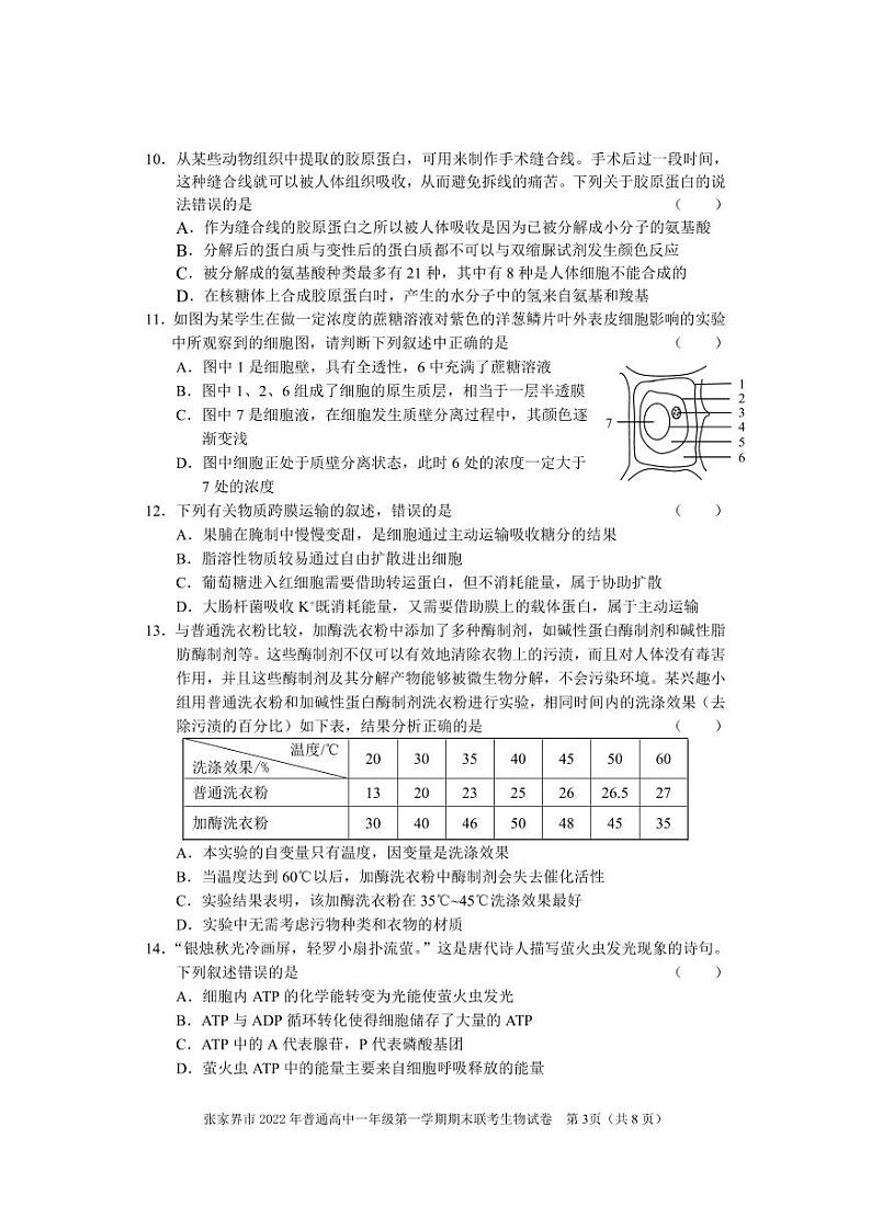 2022-2023学年湖南省张家界市高一上学期期末考试生物试题 扫描版03