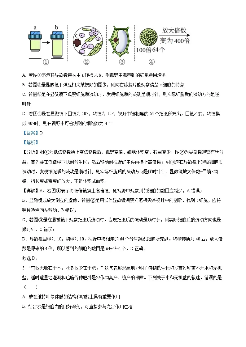 2022-2023学年湖南省衡阳市八中高一下学期开学考试生物试题（解析版）02