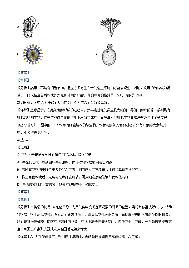2022-2023学年云南省西双版纳州景洪市第一中学高一上学期期中生物试题(解析版)03