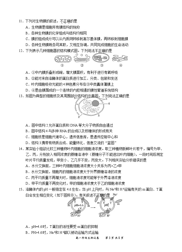 2022-2023学年四川省宜宾市高一上学期期末考试生物试题03