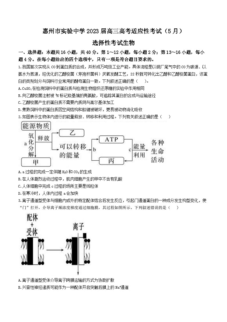 2023届广东省惠州市实验中学高三5月适应性考试生物试题第1页