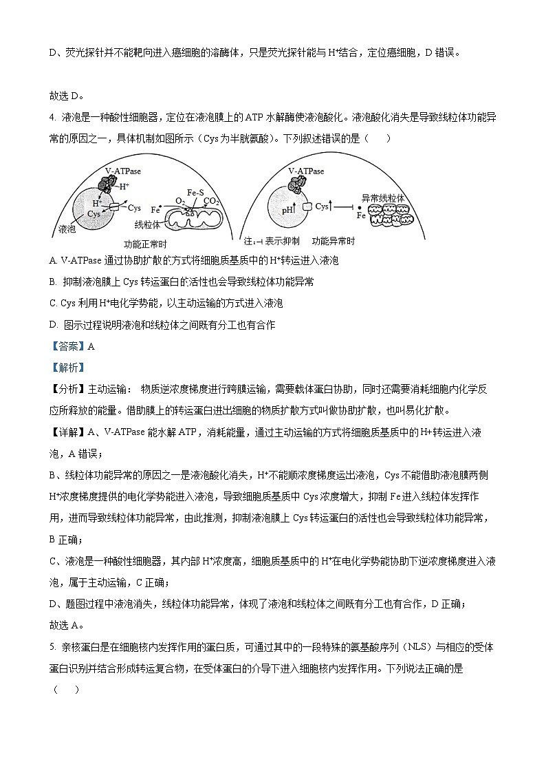 精品解析:山东省济宁市一中2022-2023学年高二下学期期中生物试题(解析版)第3页