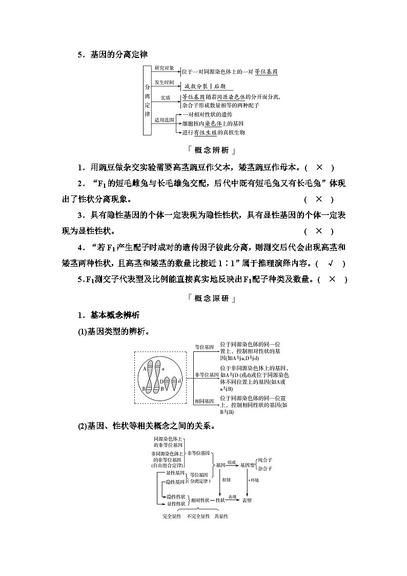 高考生物总复习第5单元第14课基因的分离定律学案第3页