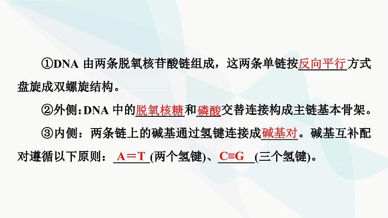 高考生物总复习第6单元第18课DNA的结构、复制和基因的本质课件第6页