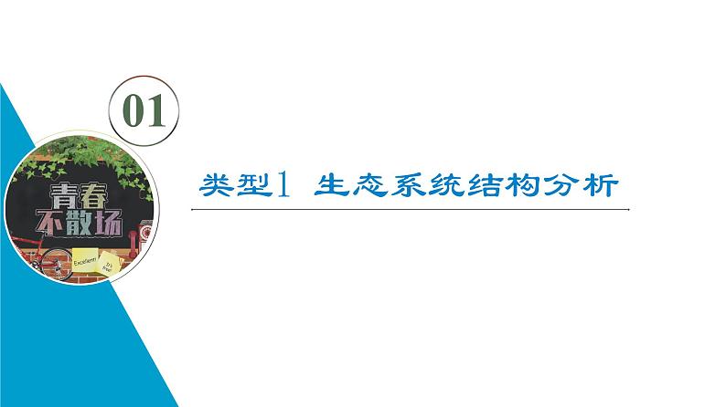 高考生物总复习第9单元高频考点进阶课5生态系统的结构与功能课件第2页