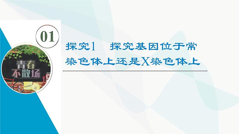高考生物总复习第5单元实验探究系列3遗传类实验的设计课件02