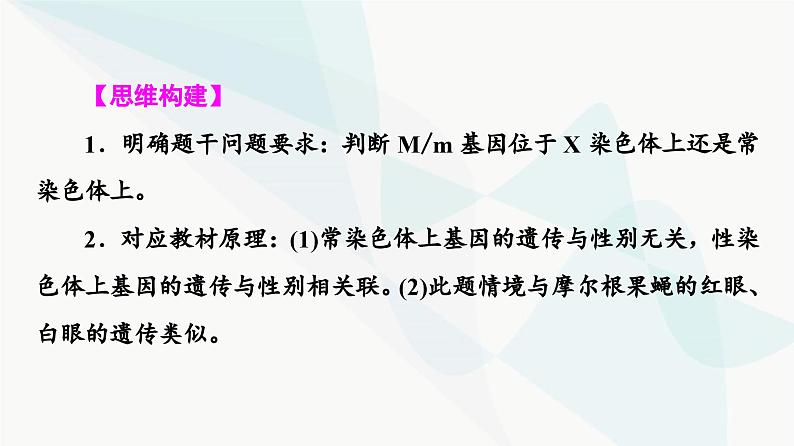 高考生物总复习第5单元实验探究系列3遗传类实验的设计课件06